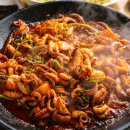 보들이쭈꾸미 이미지