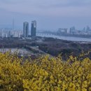 응봉개나리어린이공원 이미지