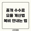 짱짱부동산중개 이미지