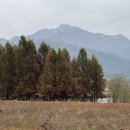 대강면 가덕마을 이미지