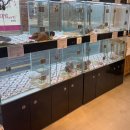 예쁘댕냥 이미지