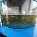 영종순환로 이미지