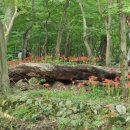 2024-주212 이미지