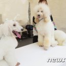 패밀리축산 - 김해시 흥동 | 패밀리축산
