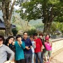 도래도래민박 이미지