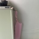 그레이토라멘 이미지
