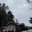 매월1로L | 거창 국민여가캠핑장 &#34;미리내숲&#34; 숲속사이트 l 청룡, 백호 최근후기