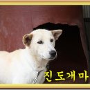 진도축산 이미지