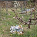 경남환경공인중개사사무소 이미지