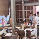 영석목장 이미지