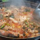 갈매기식당 이미지