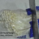 500원으로 5000원 고급 중국요리-팽이버섯 덮밥 만들기~ 이미지