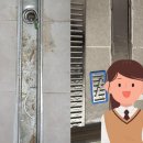 더조은약품 이미지