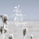 메추라기집 이미지
