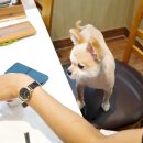 충북송어직판장 금천점 이미지