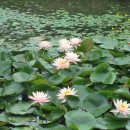 큰골농장 이미지