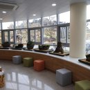 1004섬수석미술관 이미지