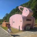 한국체험교육센터 | 충주 아이와 1박 | 유기농 체험 교육센터 동물 테마 숙소 후기