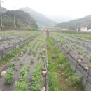 지리산슈퍼