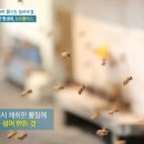 아이가 편도염에 폐렴까지 왔는데 남도향프로폴리스 먹고 확실히 효과가 있어요~ 이미지