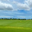 진골프클럽 이미지