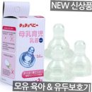 쭈쭈네