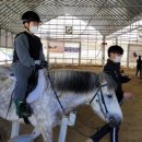 용두초등학교 이미지