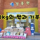 한국 키즈태권도 이미지