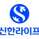 사관리 | [보험사 면접]신한라이프생명보험 인사관리직 경력기술서 합격 및 면접 컨설팅 후기!