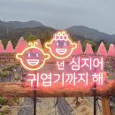 허브팜 | 포천 허브아일랜드 스카이 허브팜 핑크트리, 핑크샌드 후기✨️
