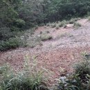 남산1리 이미지