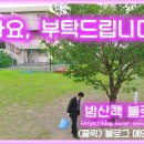 단편 영화 &lt;상명하복&gt; 정보 및 후기 리뷰 / 강범철 감독, 출연진 : 고태런, 안은석, 박홍림