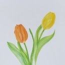 마음의 쉼, 보태니컬 아트 이미지