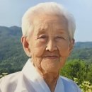 님아 그 강을 건너지 마오' 강계열 할머니 별세… 향년 102세. 이미지