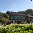 가람조경 - 서산시 남원3길 14 | 가람조경