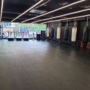 팀 해명 짐 이미지