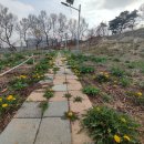 민들레농장 이미지