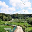 다솔관광농원 이미지