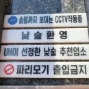 밥하기싫은날후루룩손칼국수