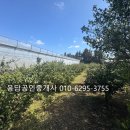 상창리-4 이미지