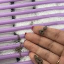 몽스케치 이미지