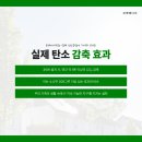 주니 태양광발전소 이미지