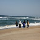 망상오토캠핑리조트 이미지