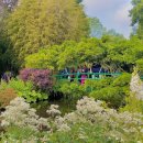 모네의 집 이미지