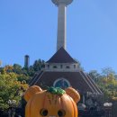 문성초교병설 이미지