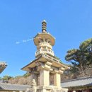 불국사 | [경북 경주] 불국사 여행 후기｜이동 동선, 주차장, 입장료, 관광 포인트