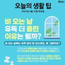 서울교대 사거리 이미지