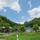 큰나무 행정사 사무소 이미지