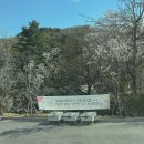 (유)성지산업 | 내돈내산 아이와 함께한 강릉 감성 캠핑장, 유카타 체험부터 조식까지 유메모리 캠핑장 단점 장점