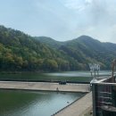 금강카매니저 이미지